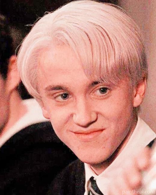 Draco Malfoy Painting By Numbers Kits