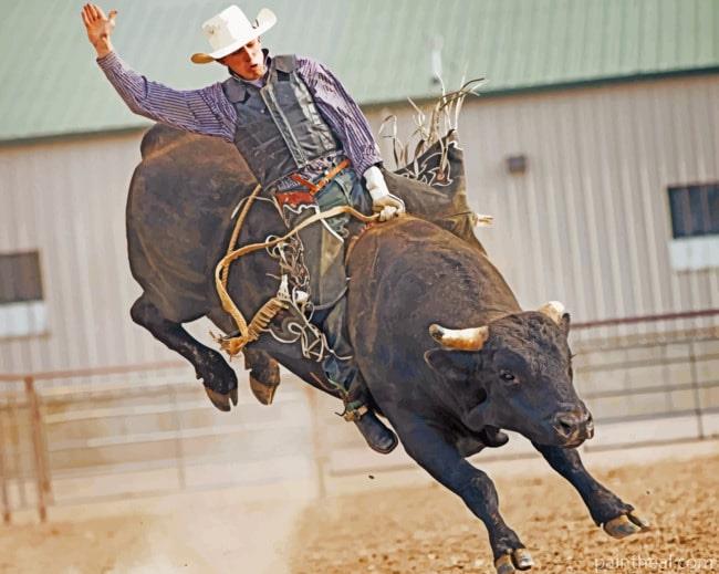 Bull Rider Painting By Numbers Kits