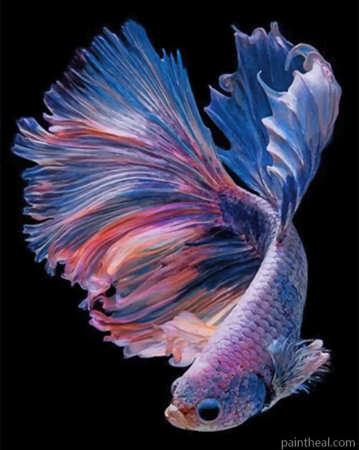 Purple Betta Fishe Vector Painting By Numbers Kits