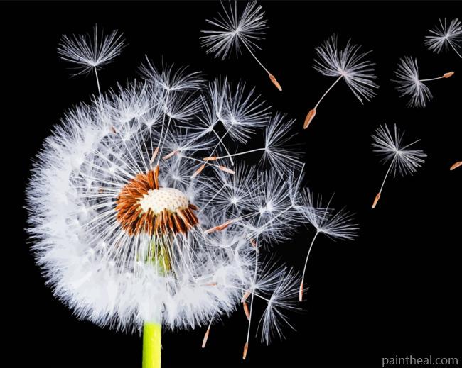 Dandelion Painting By Numbers Kits