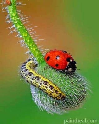 Ladybug – 5D Diamond Painting Painting By Numbers Kits