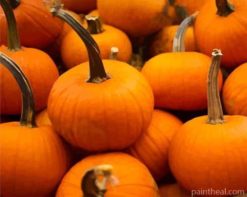 Pumpkins Vegetables Painting By Numbers Kits