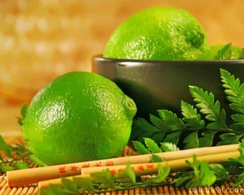 Lime Fruits Painting By Numbers Kits