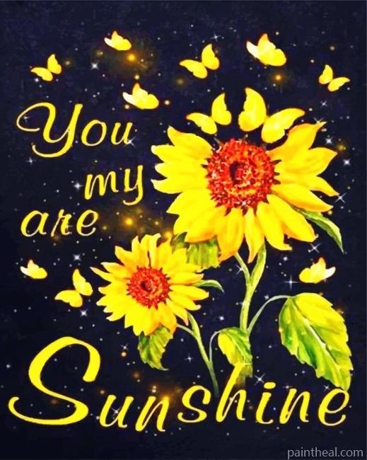 You Are My Sunshine Painting By Numbers Kits