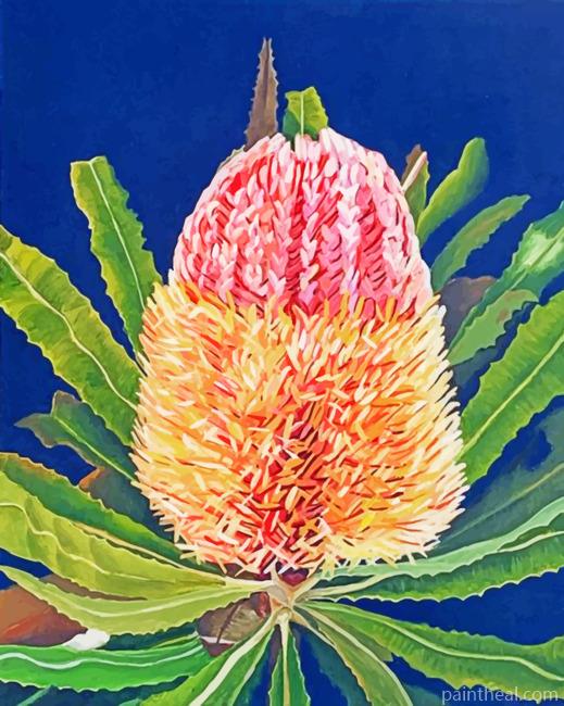 Banksias Flower Painting By Numbers Kits