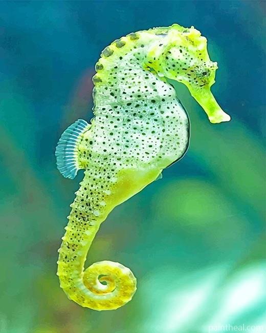 Cape Seahorse Painting By Numbers Kits