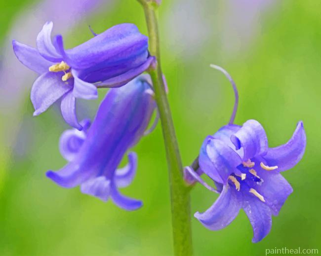 Aesthetic Bluebells Painting By Numbers Kits