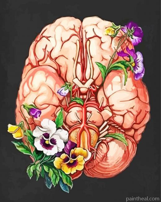 Floral Brain Painting By Numbers Kits