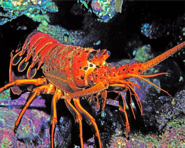 Aesthetic Lobster Painting By Numbers Kits