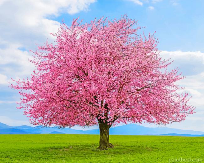 Cherry Tree Painting By Numbers Kits