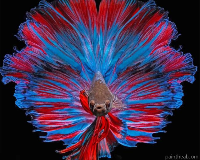 Betta Fish Painting By Numbers Kits