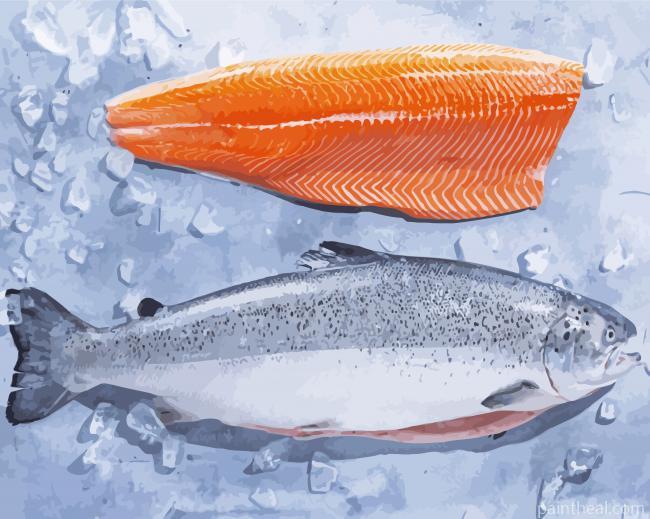 Salmon Fish Painting By Numbers Kits