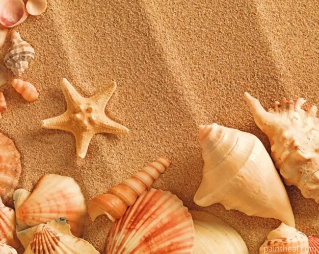 Aesthetic Seashell Painting By Numbers Kits