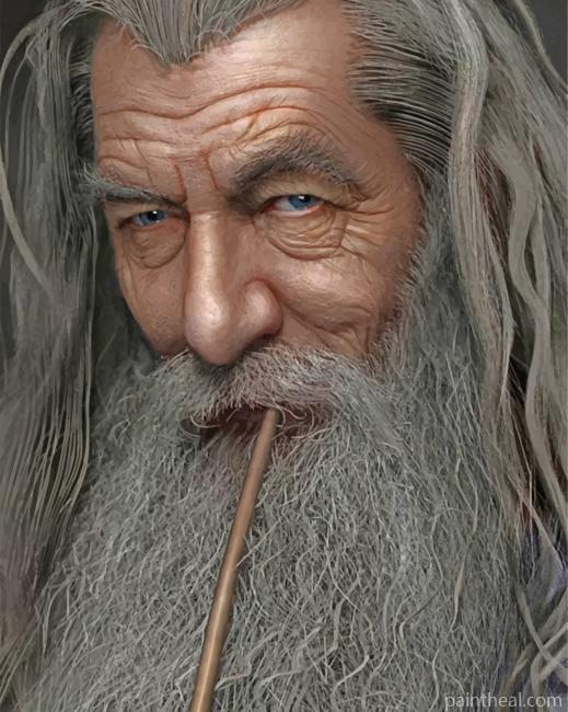 Lord Of The Rings Gandalf Painting By Numbers Kits