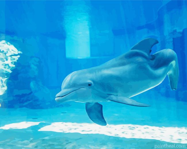 Winter The Dolphin Painting By Numbers Kits
