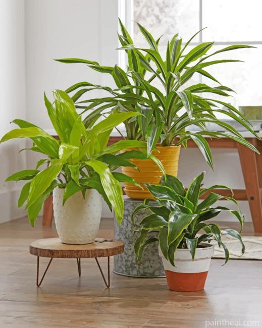 Aesthetic Green Plants Painting By Numbers Kits