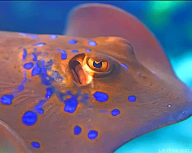 Stingray Painting By Numbers Kits