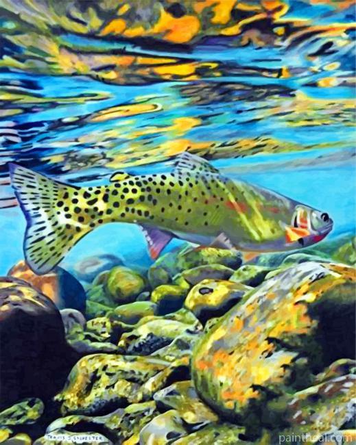 Cool Trout Fish Painting By Numbers Kits
