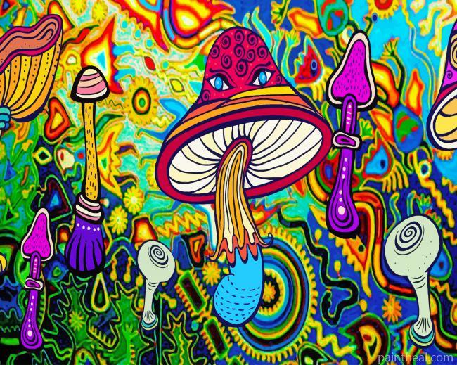 Aesthetic Psychedelic Art Painting By Numbers Kits