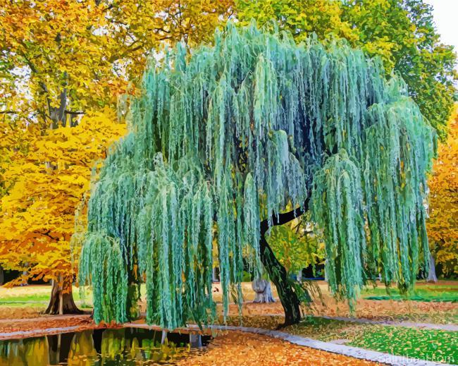 Weeping Willow Painting By Numbers Kits