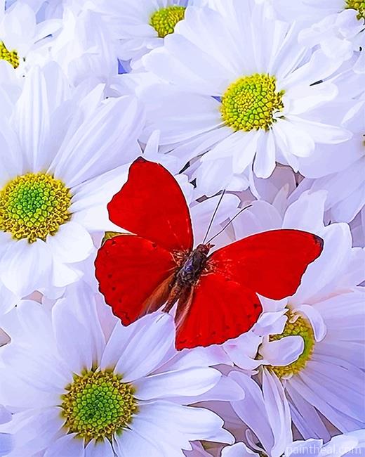Red Butterfly On White Flower Painting By Numbers Kits