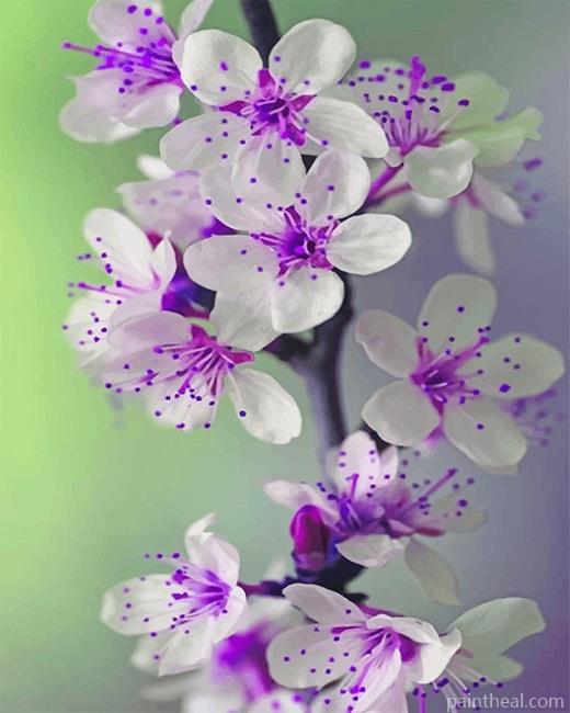 Purple White Orchid Flower Painting By Numbers Kits