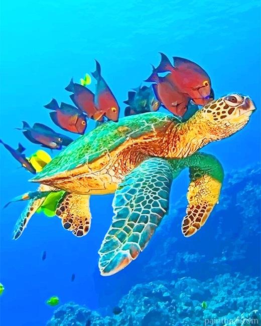 Ocean World Painting By Numbers Kits
