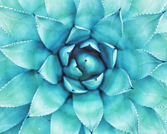 Green Agave Cactus Painting By Numbers Kits
