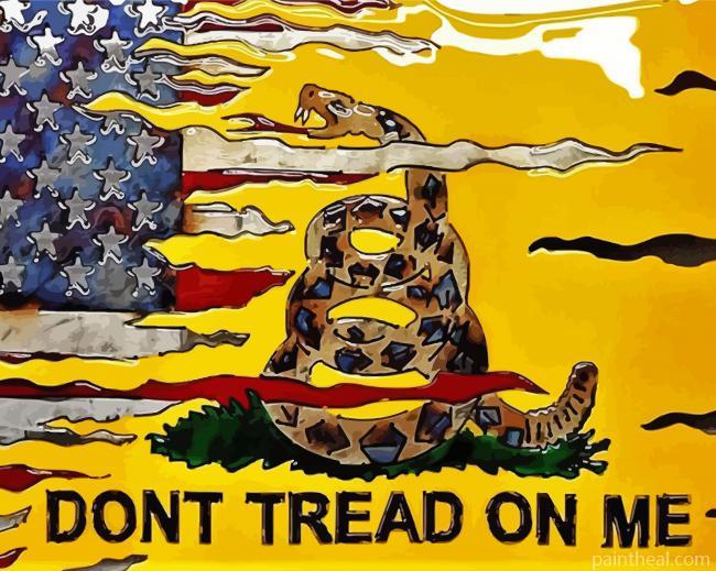 Dont Tread On Me Painting By Numbers Kits