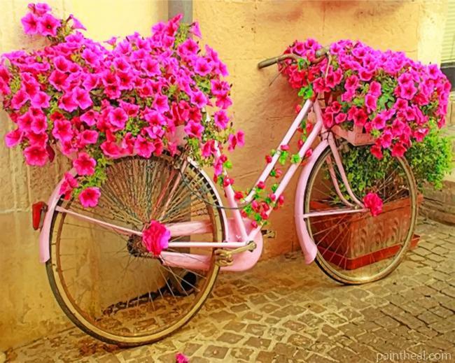 Pink Bicycle With Flowers Painting By Numbers Kits