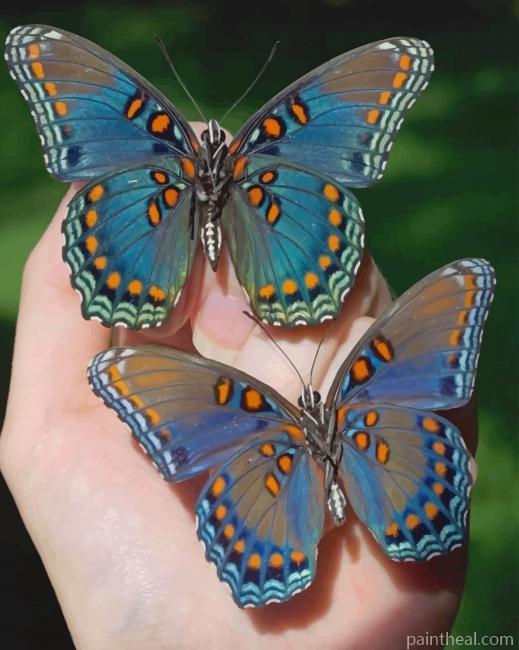 Pretty Butterflies Painting By Numbers Kits