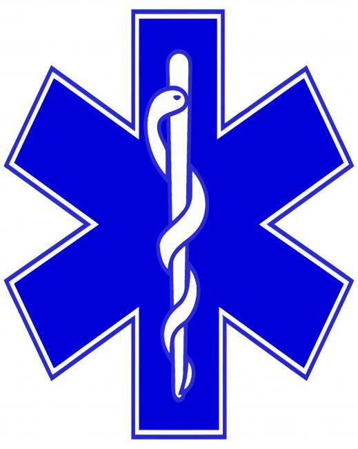 EMS Life Star Emblem Painting By Numbers Kits