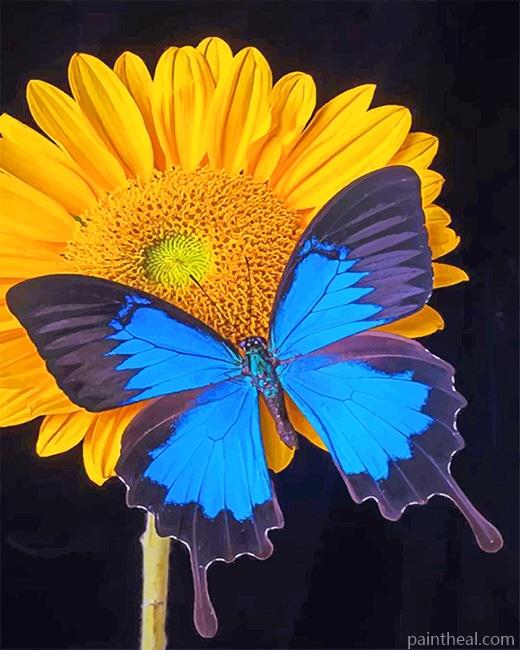 Blue Butterfly On Sunflower Painting By Numbers Kits