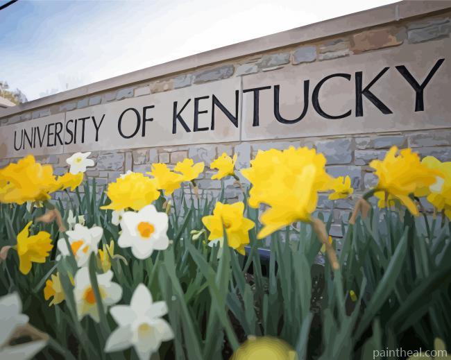 University of Kentucky Painting By Numbers Kits