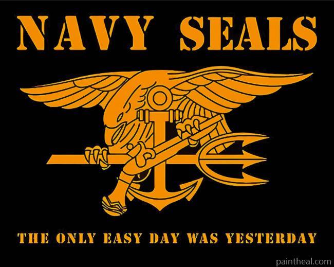 Navy Seal Logo Painting By Numbers Kits