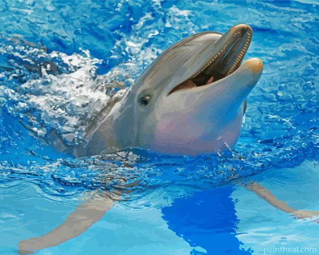 Cute Winter The Dolphin Painting By Numbers Kits