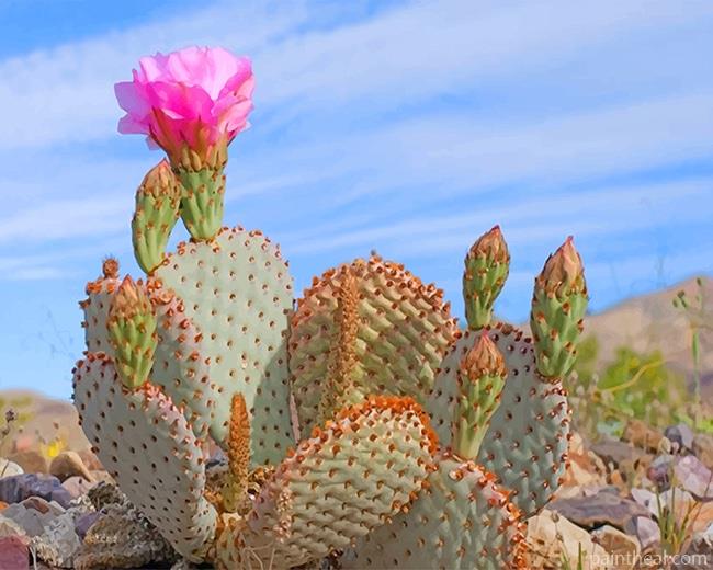 Death Valley Cactus Painting By Numbers Kits