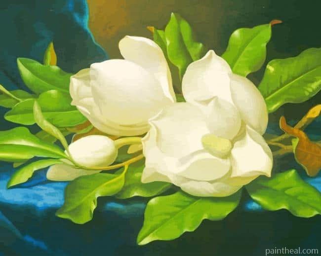Giant Magnolias on a Blue Velvet Cloth Painting By Numbers Kits