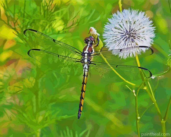 Dragonfly Insect And Dandelion Painting By Numbers Kits
