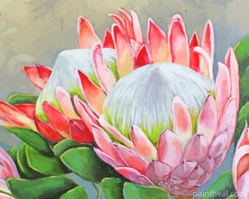 Protea Plants Art Painting By Numbers Kits