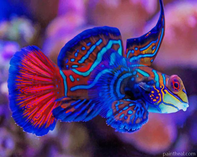 Aquarium Mandarinfish Painting By Numbers Kits