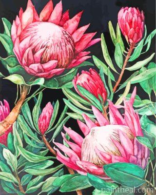 Pink Proteas Painting By Numbers Kits