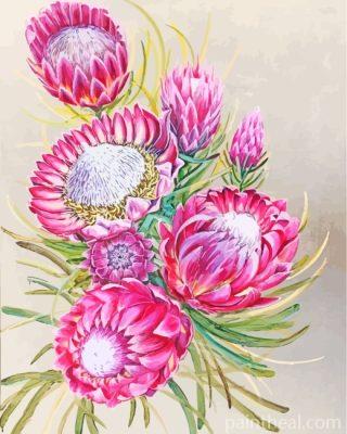 Pink Protea Plants Art Painting By Numbers Kits