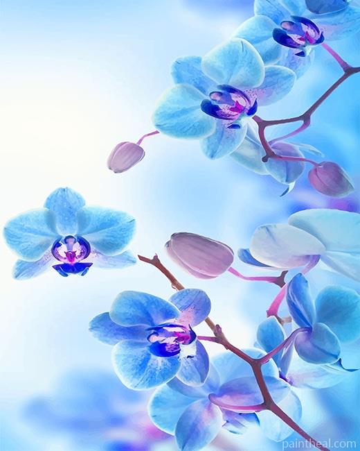 Blue Purple Orchid Painting By Numbers Kits
