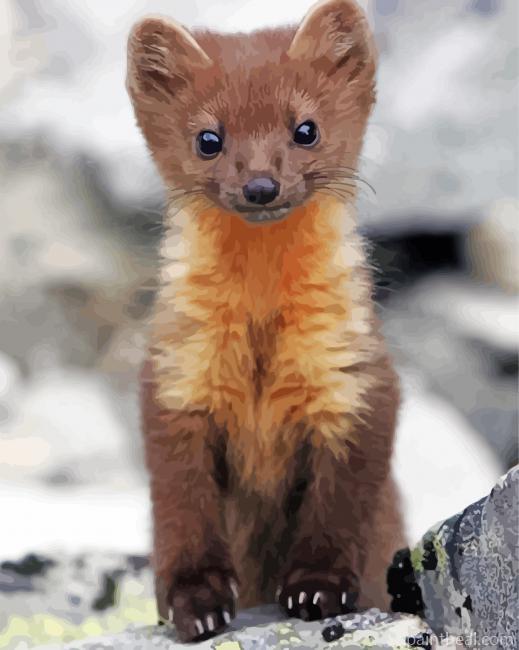 Adorable Pine Marten Painting By Numbers Kits