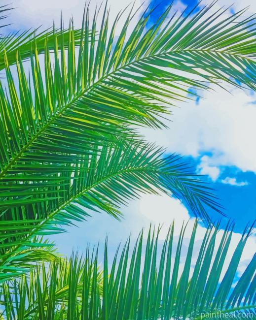 Palm Leaves Painting By Numbers Kits