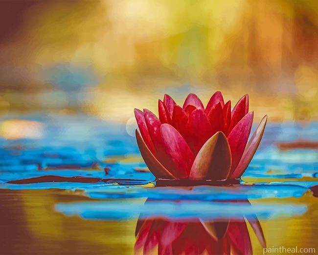 Lotus In The Water Painting By Numbers Kits
