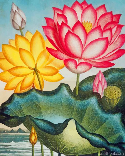 Water Lily Flower Art Painting By Numbers Kits