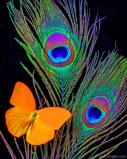 Peacock Feathers And Butterfly Painting By Numbers Kits