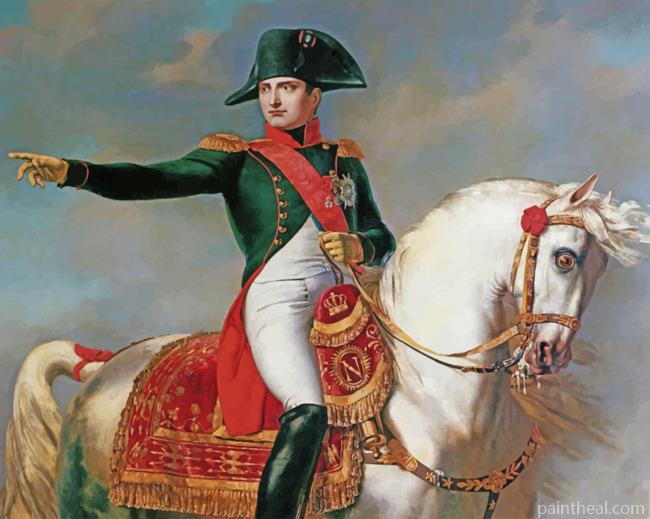 Napoleon Portrait Painting By Numbers Kits